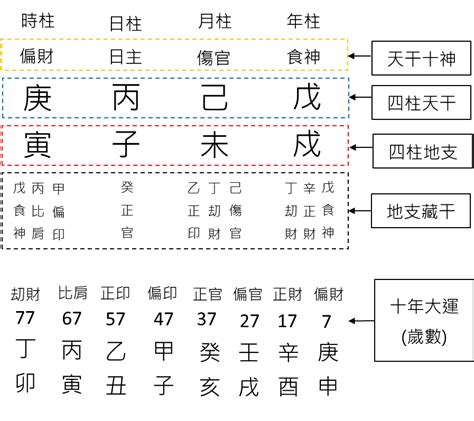 八字陰陽怎麼看|八字基礎教學,陰陽,五行,干支,廿四節氣（20分鐘了解）